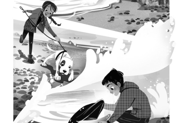 Fumetto - Delfini della patagonia - Le paoline - Ed. san paolo - Il parco delle storie- Prova illustrata. Elisa Bellotti Illustrator